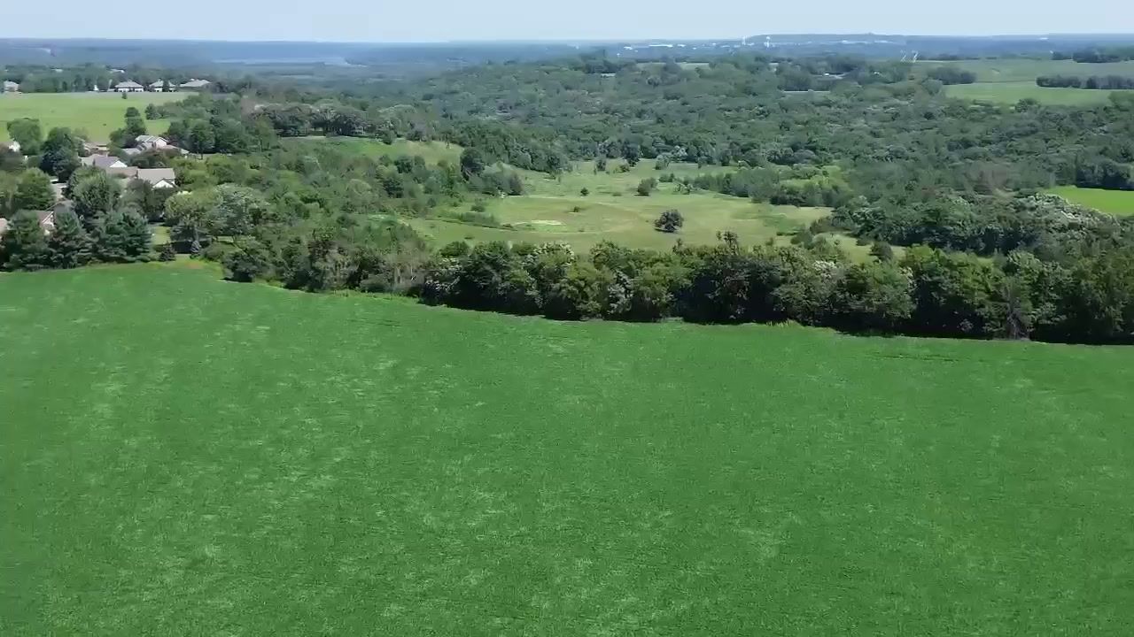 Aerial perspective of the open land and tree line at the Walden of Hastings site