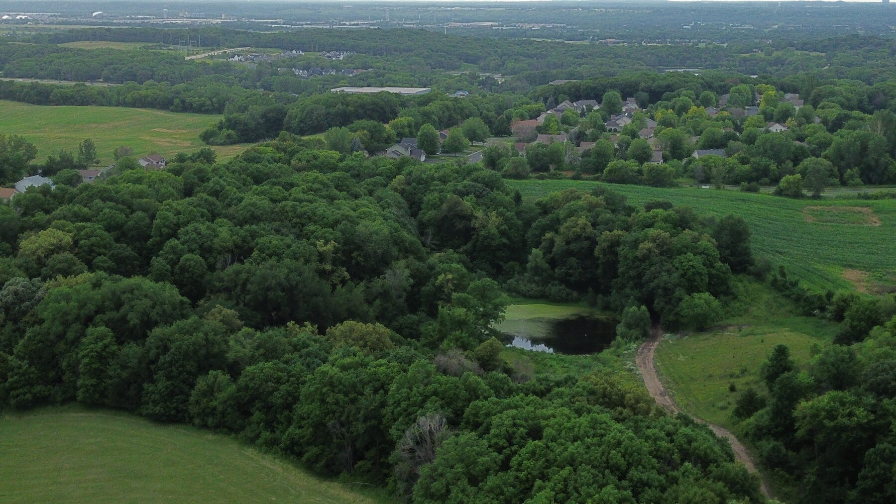 Wetland pond and preserved buffer area within the Vierling Shores site
