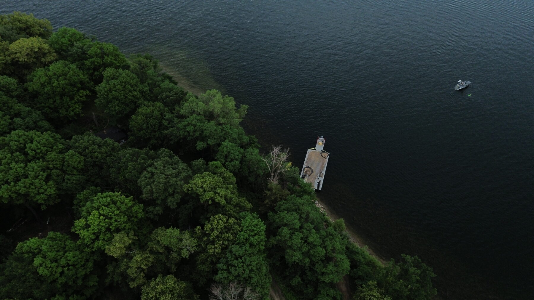 Cow Bay waterfront with dock and mature tree canopy along the shoreline